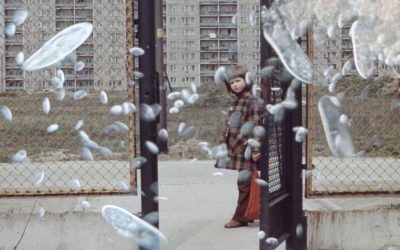 GRANDMAMAUNTSISTERCAT_STILL_25x7 GRANDMAMAUNTSISTERCAT_STILL_25x7