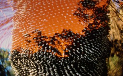 MFJ81_R_Keller_Currents4_MalenaSzlam_Archipelago_2024_015x7 MFJ81_R_Keller_Currents4_MalenaSzlam_Archipelago_2024_015x7