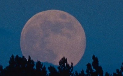 MFJ82_R_DiGravio_PrismaticGround_TadhgOSullivan_ToTheMoon_2020_01_5x7