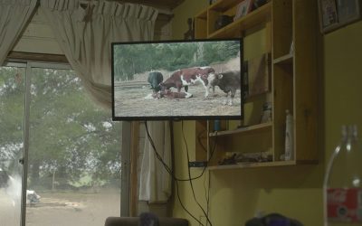 winter 5x7 winter 5x7