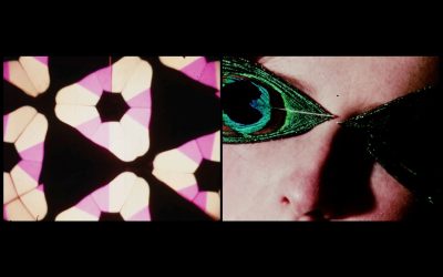 MFJ84_A_BroomerStephen_FilmDistribution_ JohnHofsess_PalaceofPleasure_1967_01 2x3